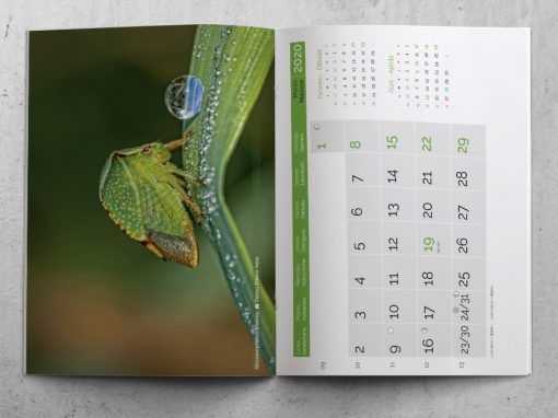 Offset printing of a wall-type magazine calendar