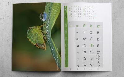 Calendario Mural tipo revista