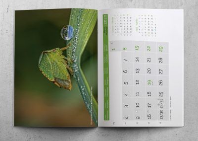 Calendario Mural tipo revista